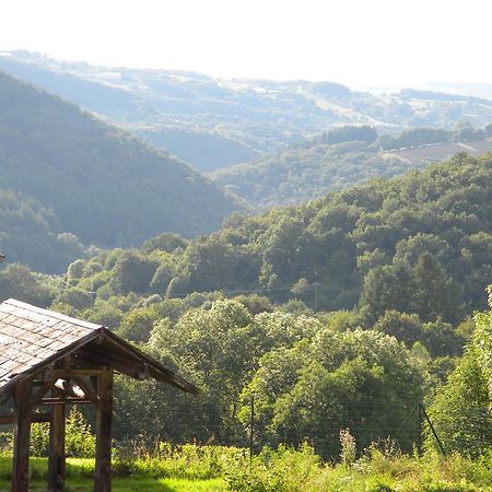 Вілла Domaine Du Randier Ferrieres-sur-Sichon Екстер'єр фото